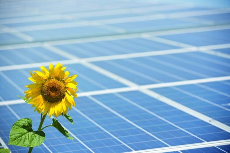 Xirasois e paneis solares para aforrar enerxía